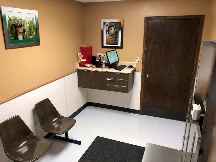 Lakeland Animal Hospital Picture 2