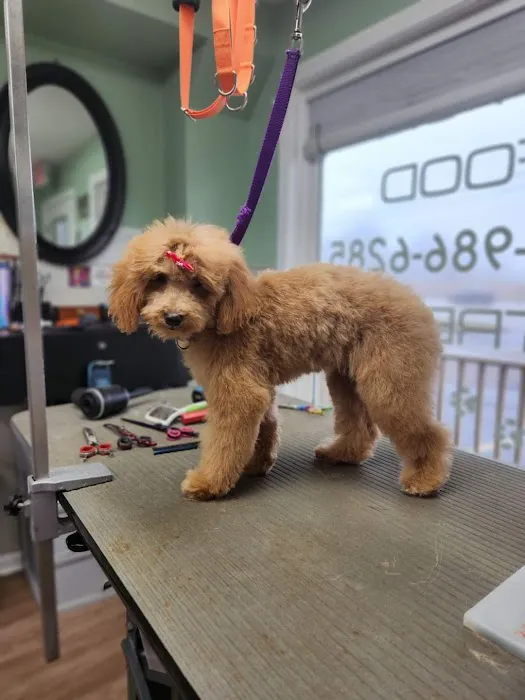 Banfield Pet Hospital Picture 5