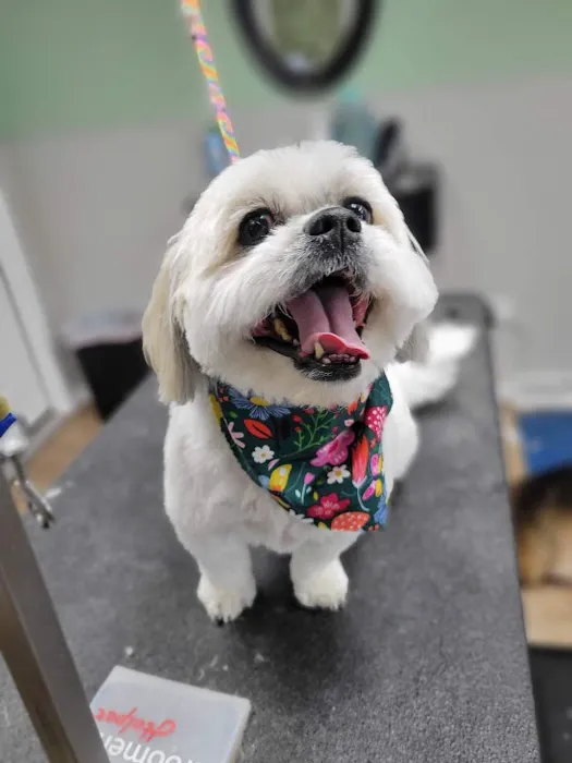 Banfield Pet Hospital Picture 4