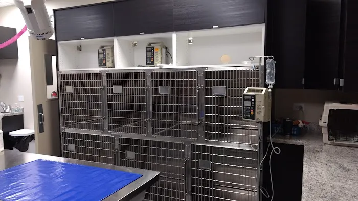 Good Life Veterinary Care Picture 1