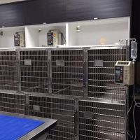 Good Life Veterinary Care ico