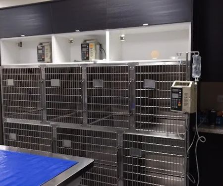Good Life Veterinary Care