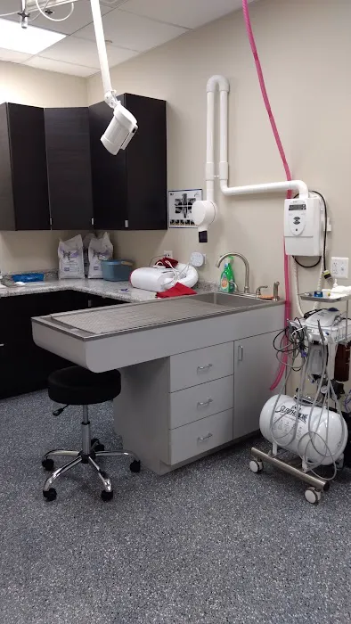 Good Life Veterinary Care Picture 9