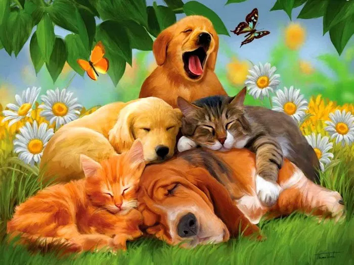 The Animal Hospital Of Gurnee, P.C. Picture 2