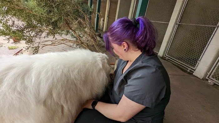 The Animal Hospital Of Gurnee, P.C. Picture 8