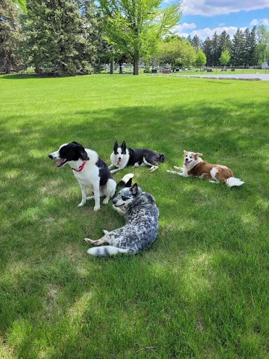 The Animal Hospital Of Gurnee, P.C. Picture 10