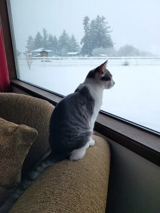 Four Paws Veterinary Service, LLC Picture 1