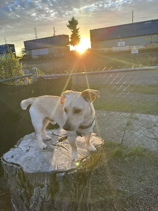 Four Paws Veterinary Service, LLC Picture 4