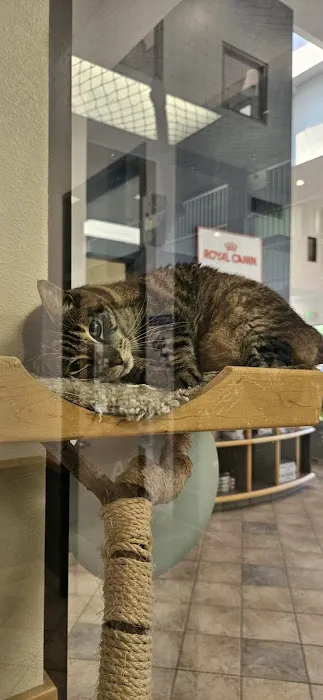 VCA Santa Margarita Animal Hospital Picture 2