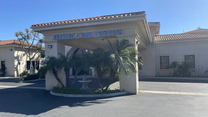 VCA Santa Margarita Animal Hospital Picture 1