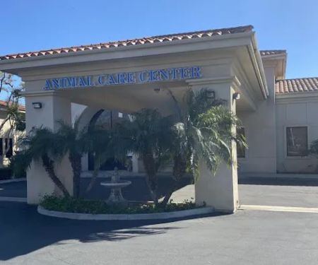 VCA Santa Margarita Animal Hospital
