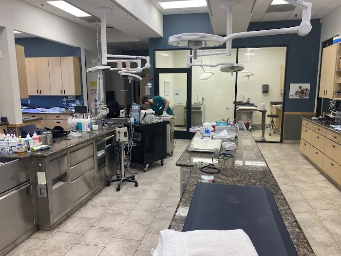 VCA Santa Margarita Animal Hospital Picture 5