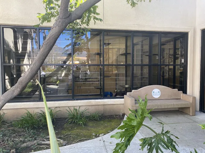 VCA Santa Margarita Animal Hospital Picture 8