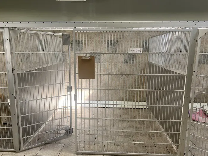 VCA Santa Margarita Animal Hospital Picture 10