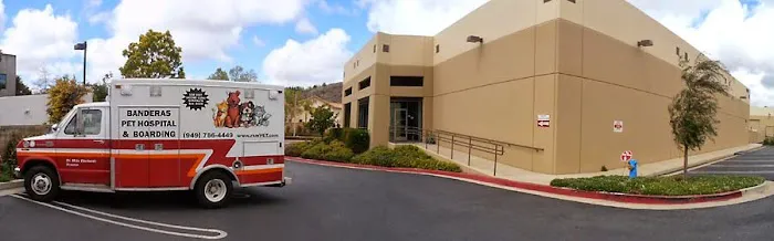 Banderas Pet Hospital & Boarding Picture 1