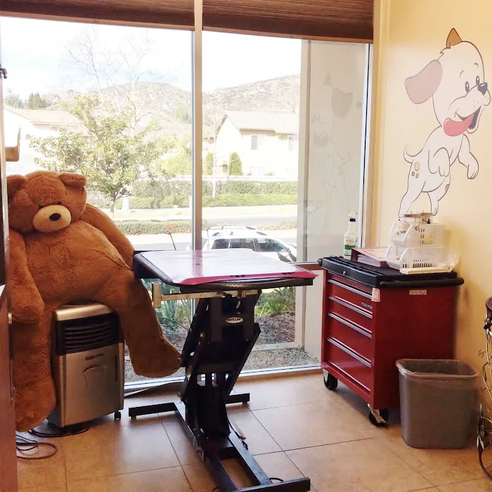 Banderas Pet Hospital & Boarding Picture 6