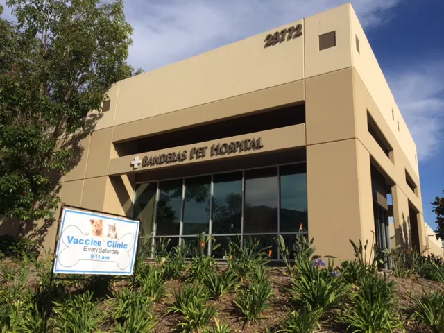 Banderas Pet Hospital & Boarding Picture 9