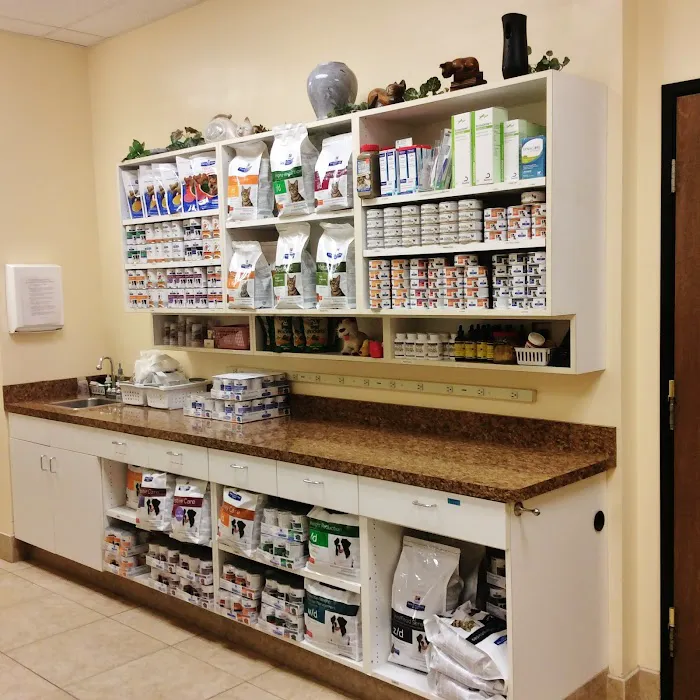 Banderas Pet Hospital & Boarding Picture 10