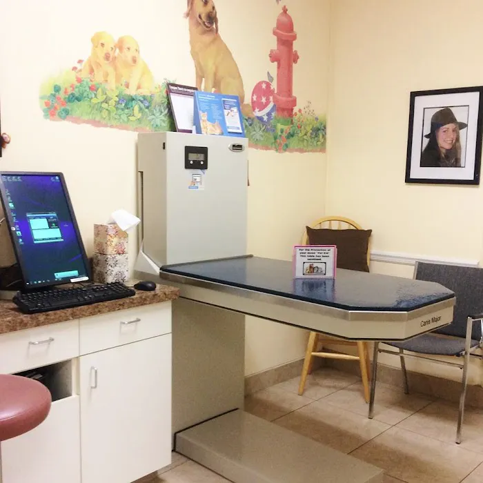 Banderas Pet Hospital & Boarding Picture 8