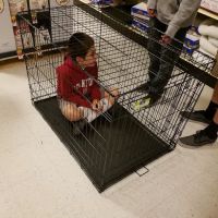 Banfield Pet Hospital ico