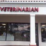 Pico Veterinary Clinic San Clemente