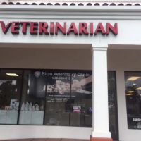Pico Veterinary Clinic San Clemente ico