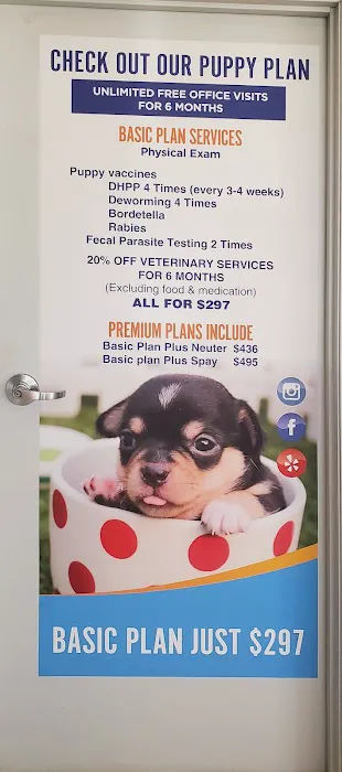 Pico Veterinary Clinic San Clemente Picture 5