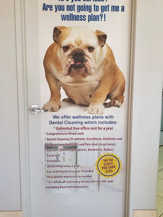Pico Veterinary Clinic San Clemente Picture 6