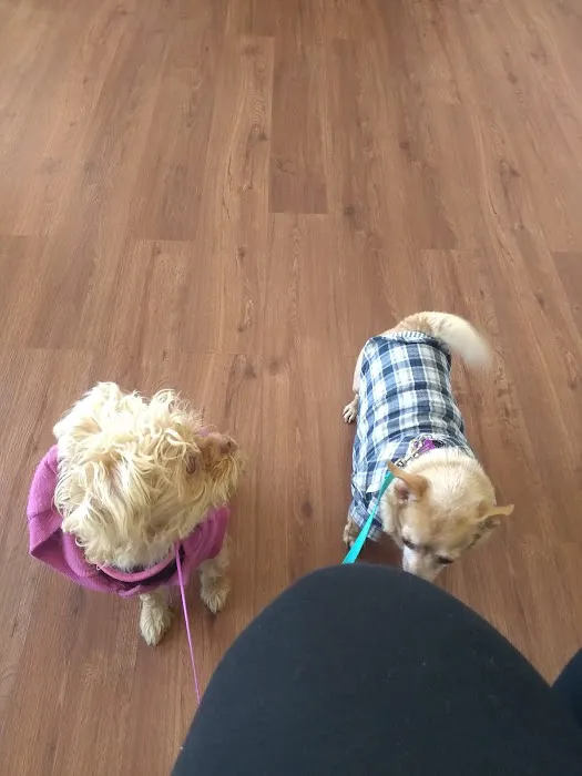 Pico Veterinary Clinic San Clemente Picture 7