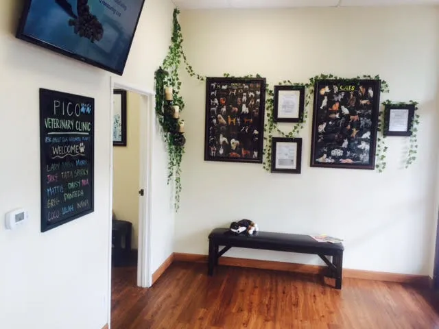Pico Veterinary Clinic San Clemente Picture 10