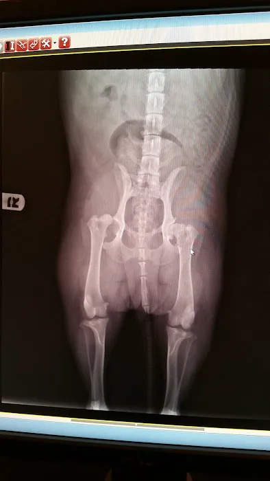 Talega Animal Hospital Picture 5