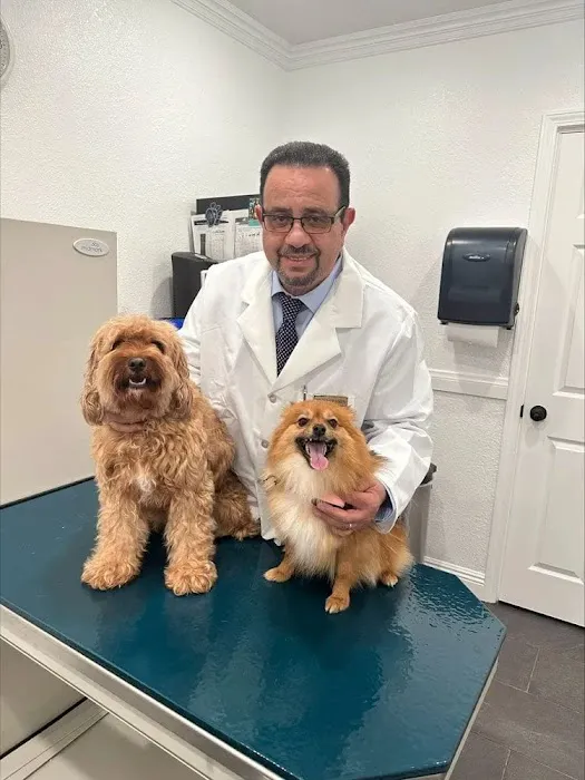 Talega Animal Hospital Picture 3