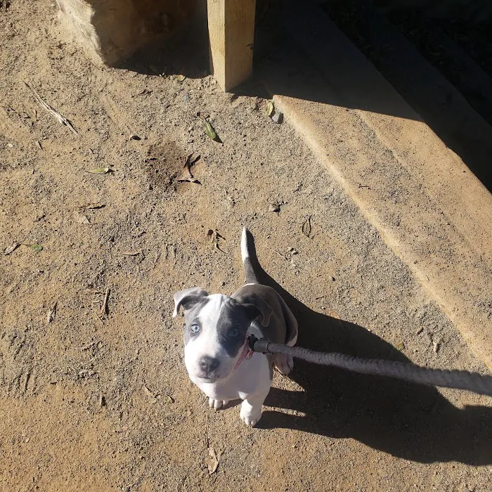 Talega Animal Hospital Picture 9