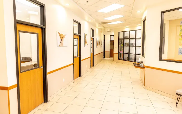 Talega Animal Hospital Picture 10