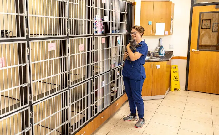 Talega Animal Hospital Picture 13