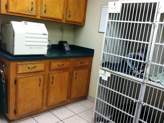 College Hills Veterinary Hospital Picture 3