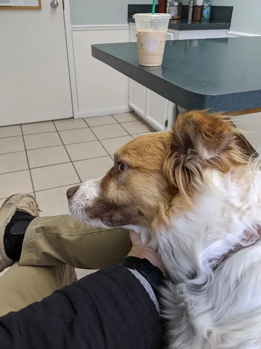 College Hills Veterinary Hospital Picture 2