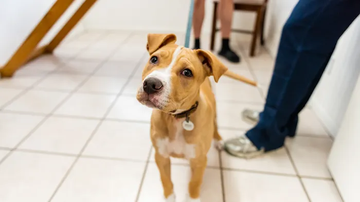 College Hills Veterinary Hospital Picture 8