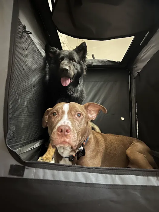 Banfield Pet Hospital Picture 2