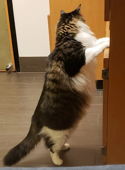 Banfield Pet Hospital Picture 8