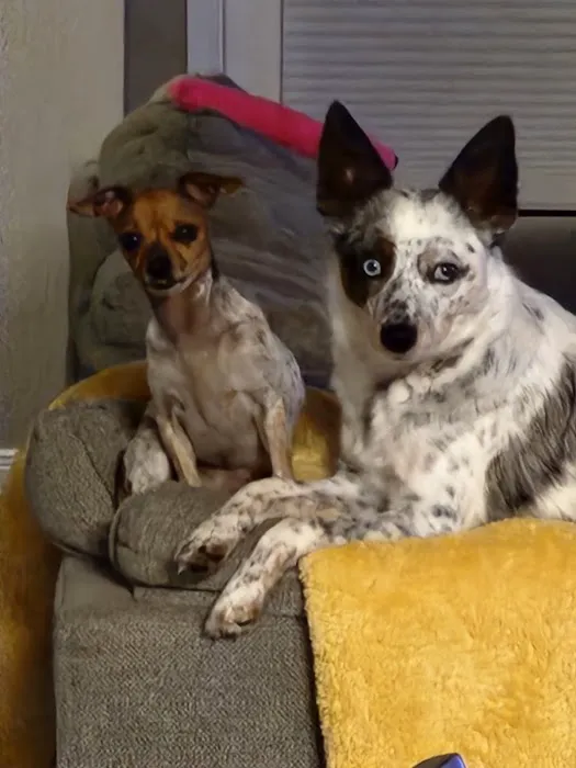 Boonville Animal Hospital Picture 3
