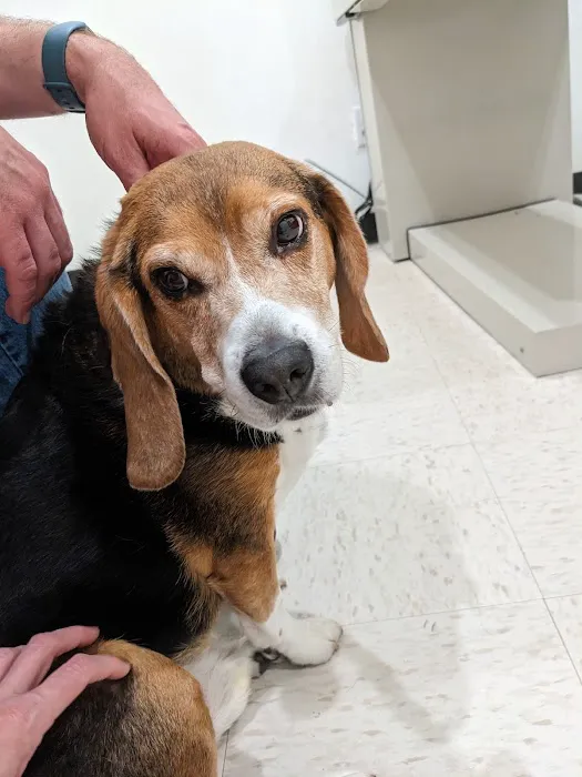 Boonville Animal Hospital Picture 6