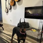 Briarcrest Veterinary Clinic