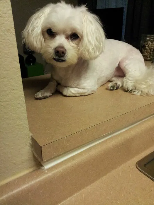 Briarcrest Veterinary Clinic Picture 6