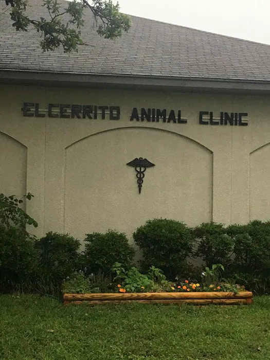 El Cerrito Animal Clinic Picture 3