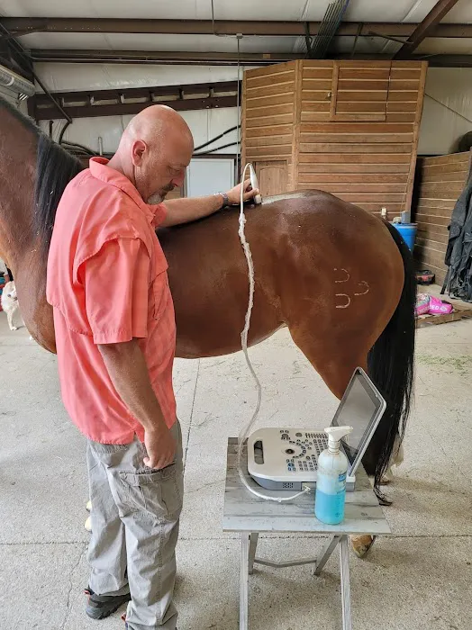 Equine Spine and Joint Care Picture 2