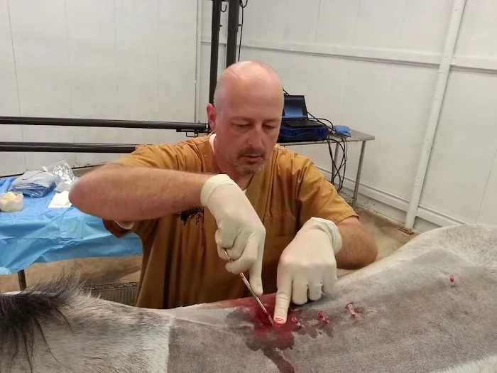 Equine Spine and Joint Care Picture 1