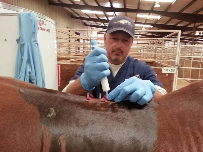 Equine Spine and Joint Care Picture 8
