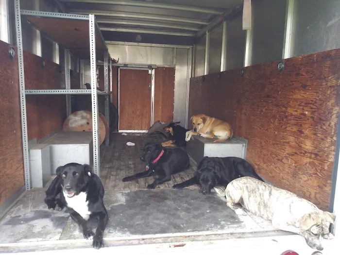 Easterling Veterinary Services Picture 10