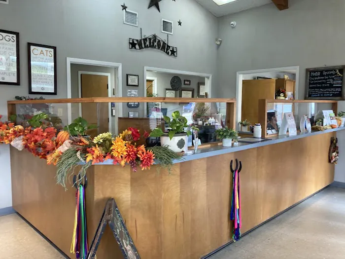Madisonville Veterinary Hospital Picture 3